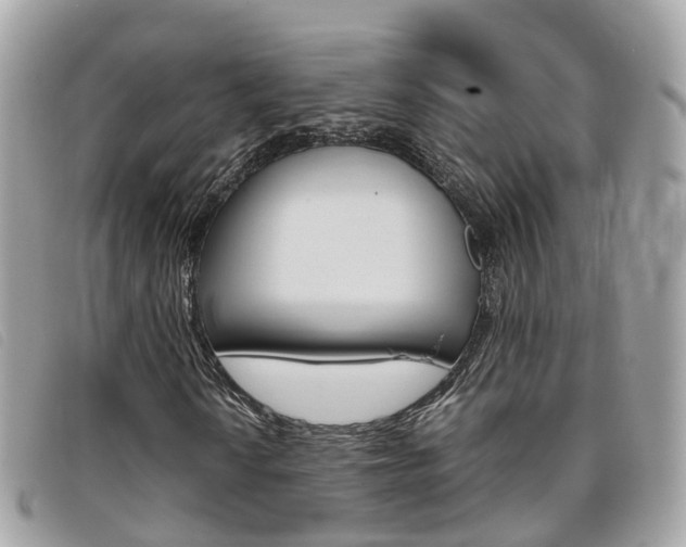 X0000095911010200801110822