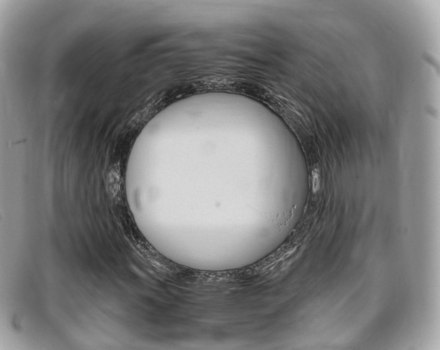 X0000095911011200801110822