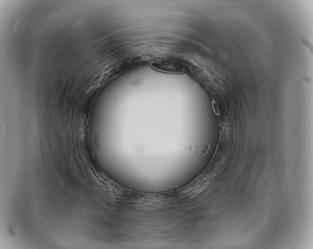X0000095911012200801110822