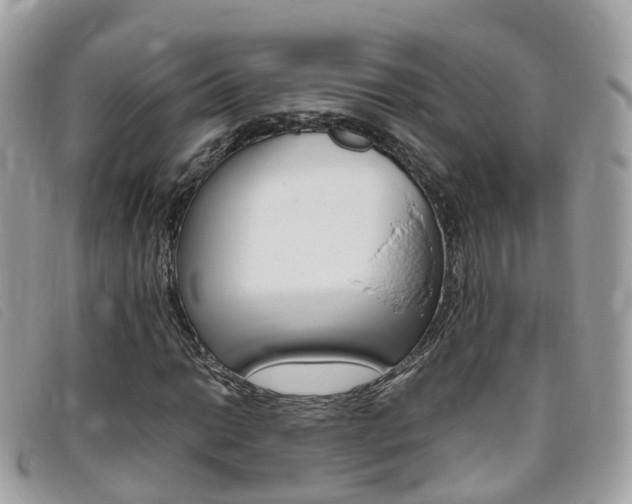 X0000095911014200801110822