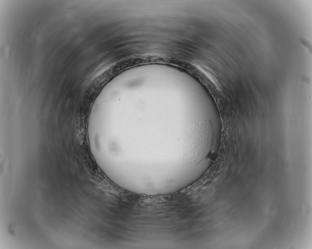 X0000095911015200801110822