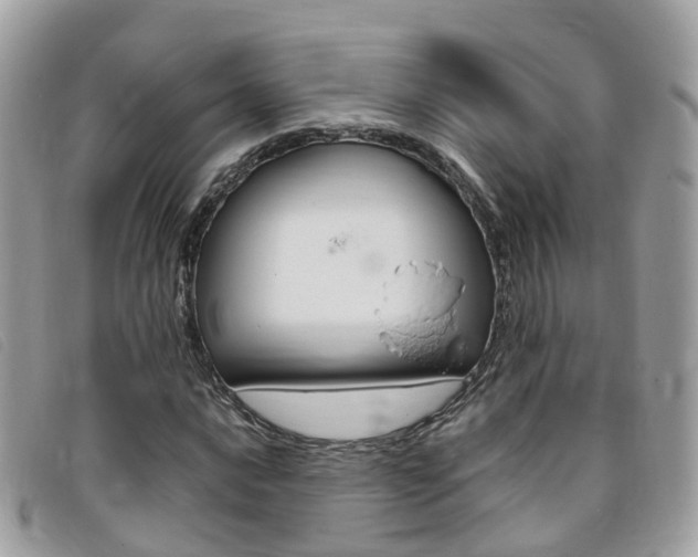 X0000095911016200801110822