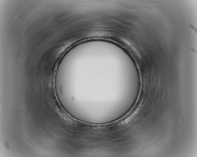 X0000095911017200801110822