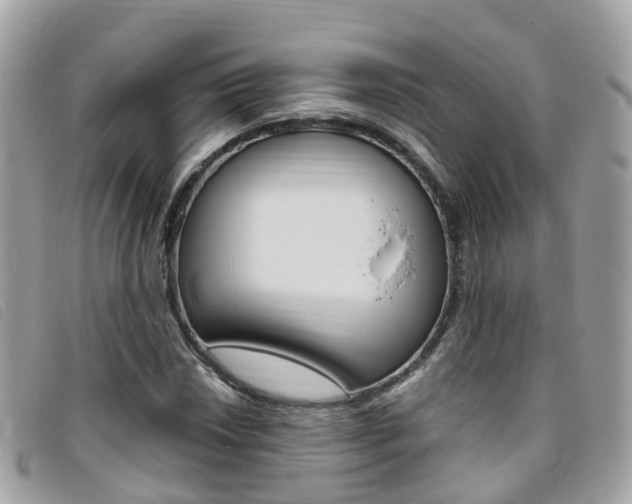 X0000095911018200801110822