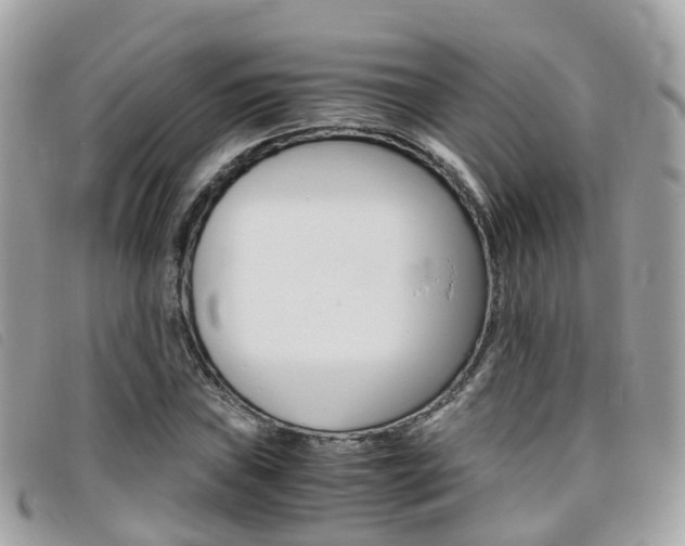 X0000095911019200801110822
