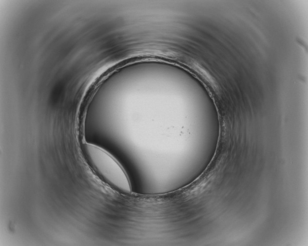 X0000095911020200801110822