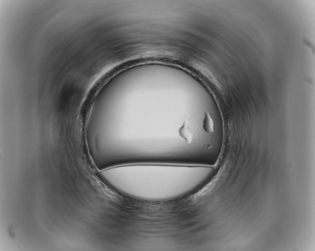 X0000095911021200801110822