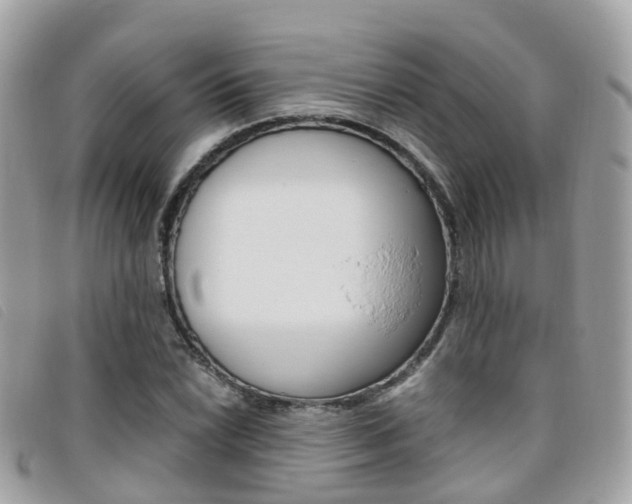 X0000095911022200801110822