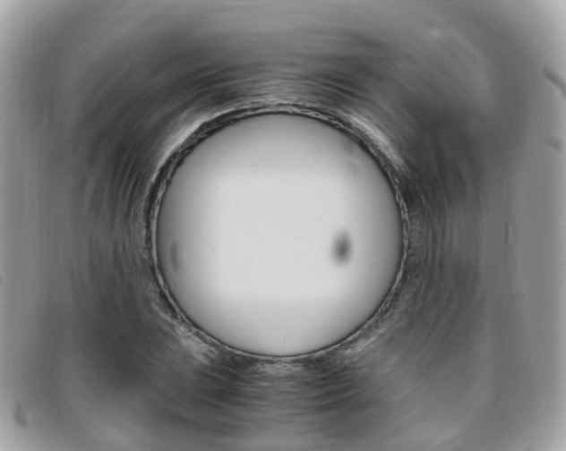 X0000095911023200801110822
