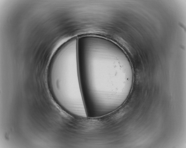 X0000095911024200801110822
