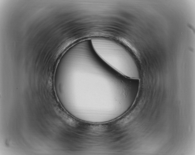 X0000095911025200801110822