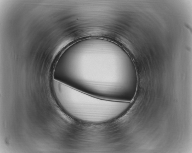 X0000095911026200801110822