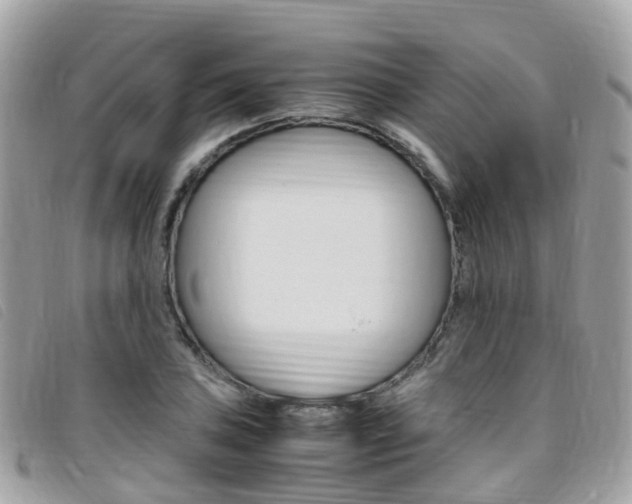 X0000095911027200801110823