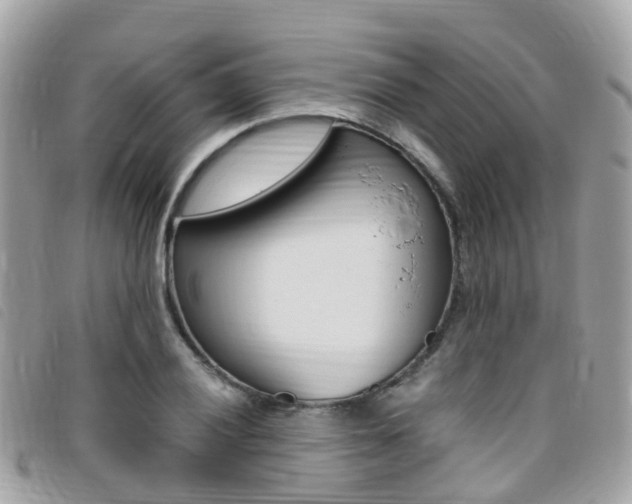 X0000095911028200801110823