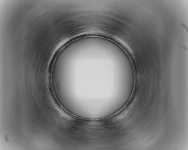 X0000095911029200801110823