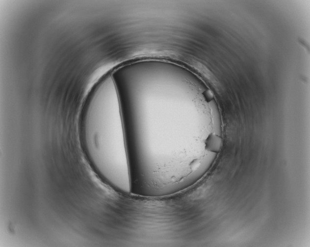 X0000095911030200801110823