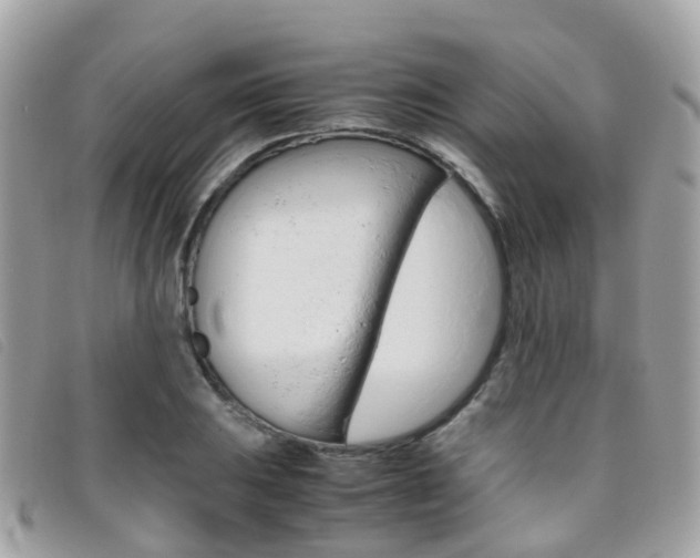 X0000095911031200801110823