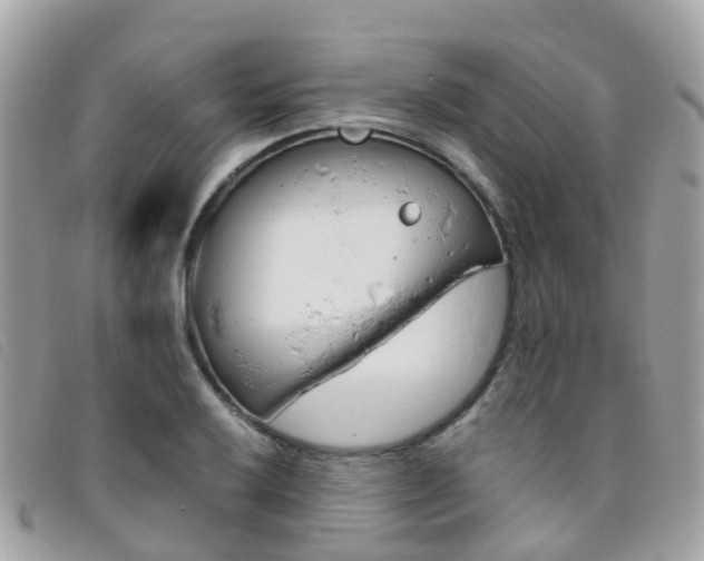 X0000095911032200801110823