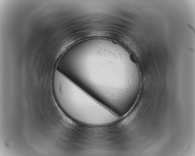 X0000095911033200801110823