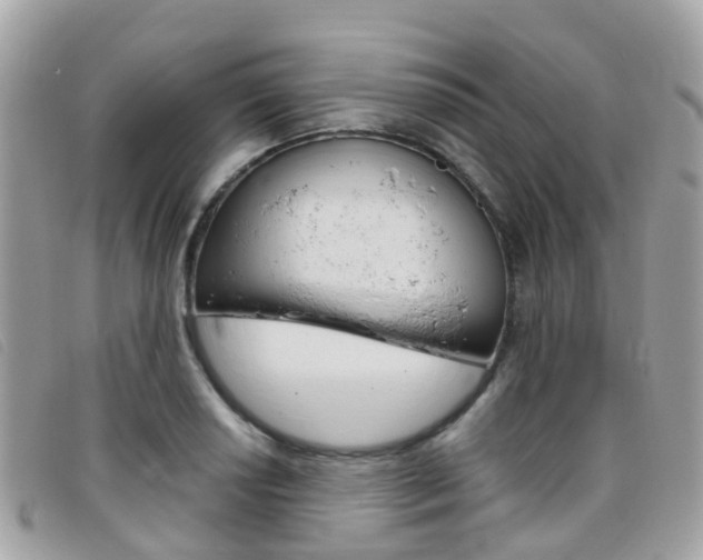 X0000095911034200801110823