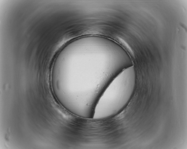 X0000095911035200801110823
