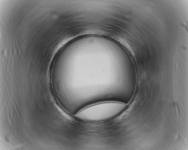 X0000095911037200801110823
