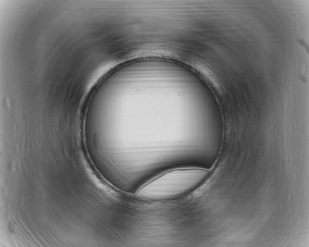 X0000095911038200801110823