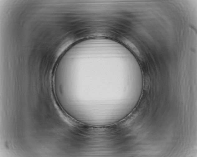 X0000095911039200801110823