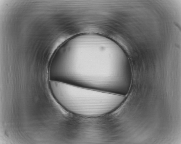 X0000095911040200801110823