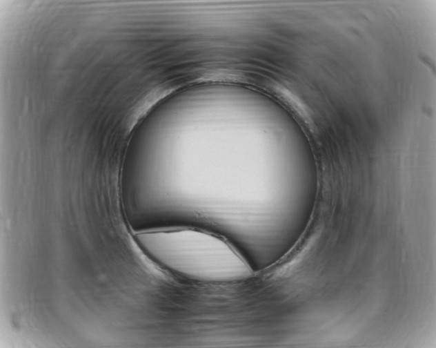 X0000095911041200801110823
