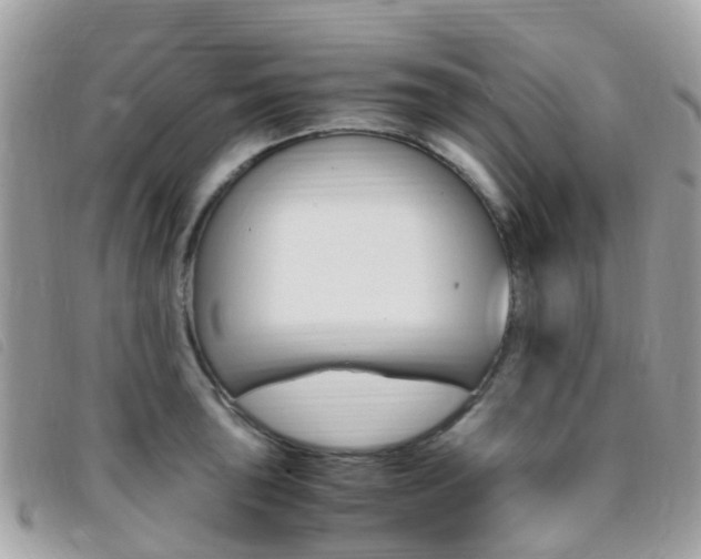 X0000095911043200801110823