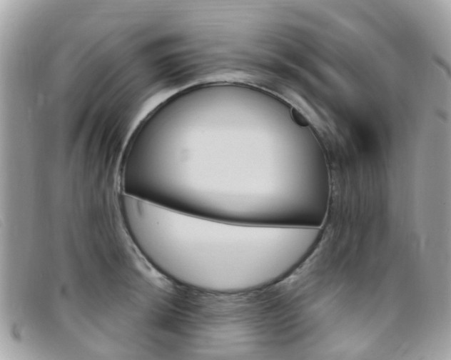 X0000095911044200801110823