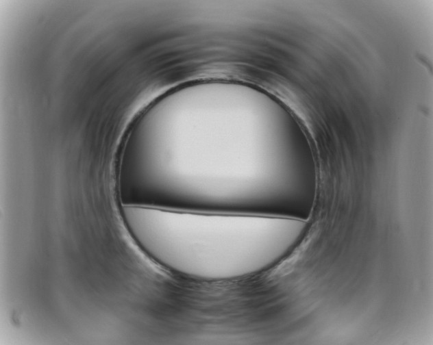 X0000095911045200801110823