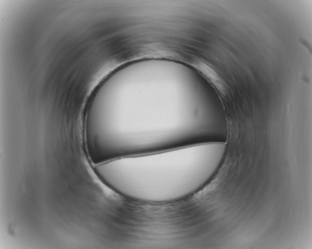 X0000095911046200801110823