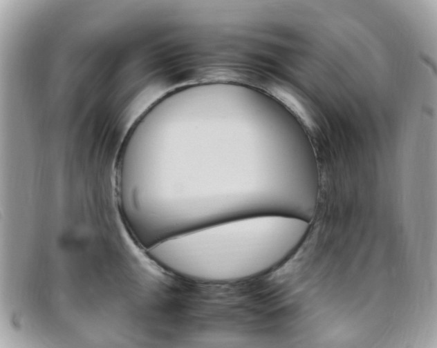X0000095911047200801110823