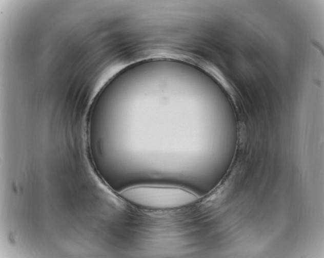X0000095911048200801110823