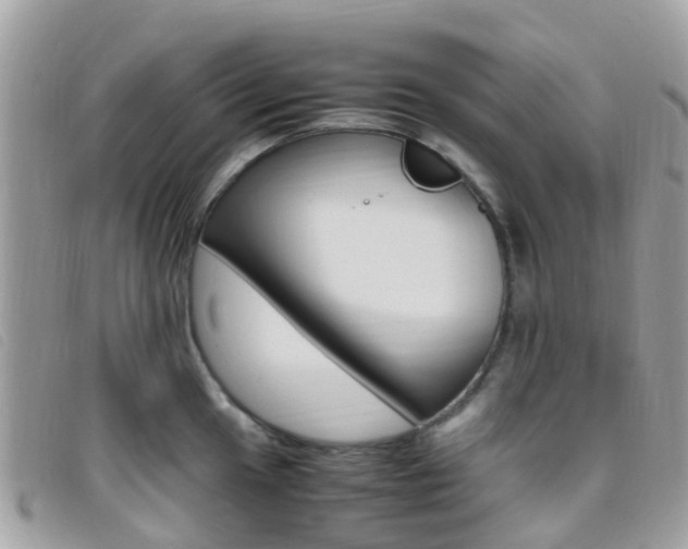 X0000095911049200801110823