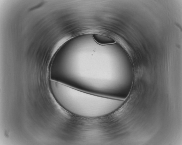 X0000095911050200801110823