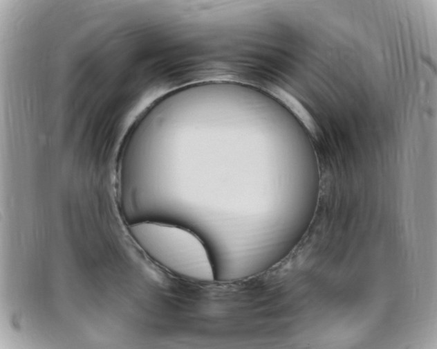 X0000095911051200801110823