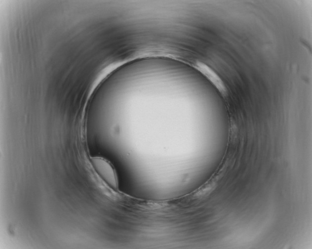 X0000095911052200801110823