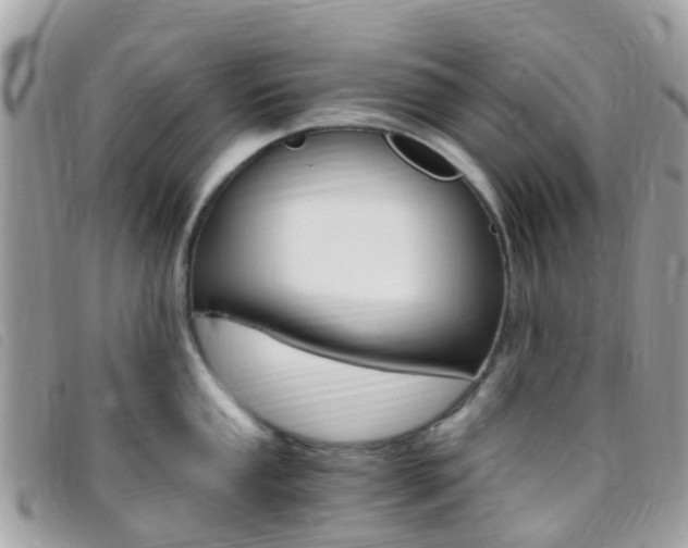 X0000095911053200801110823