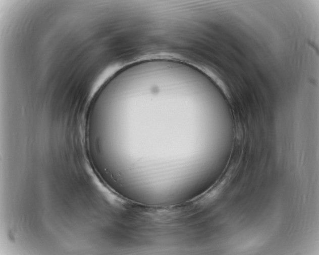 X0000095911054200801110823