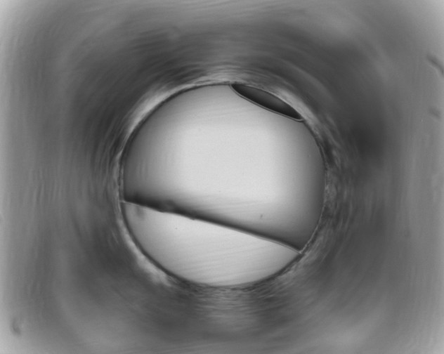 X0000095911055200801110823