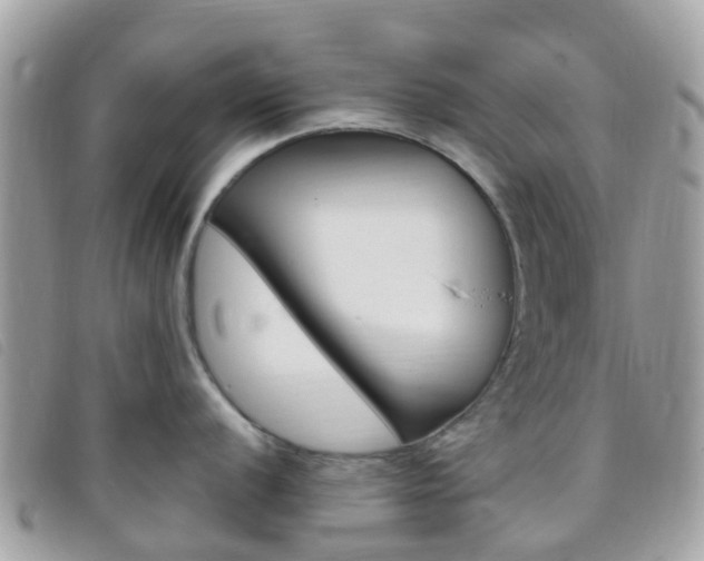 X0000095911056200801110823