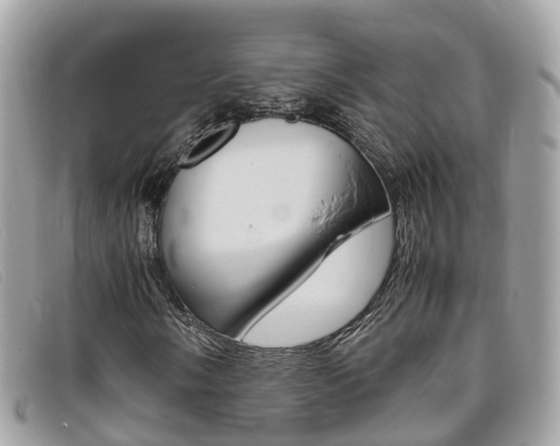 X0000095911058200801110822