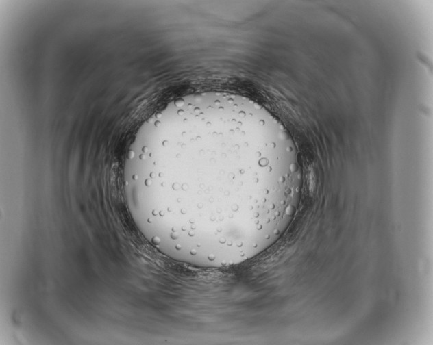 X0000095911059200801110822