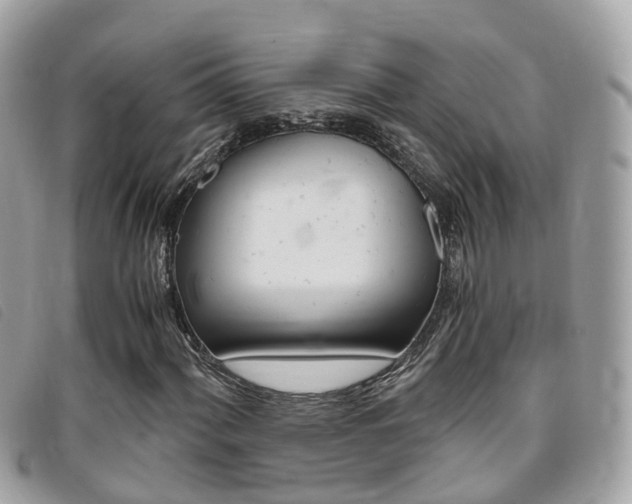 X0000095911060200801110822