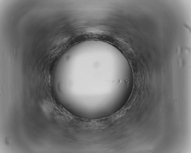 X0000095911061200801110822