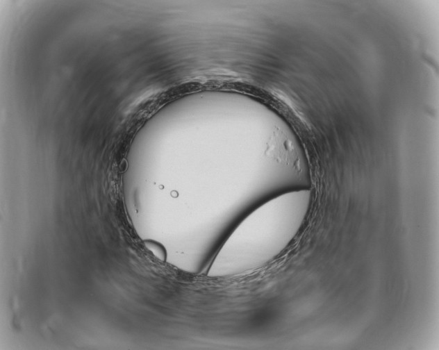 X0000095911063200801110822