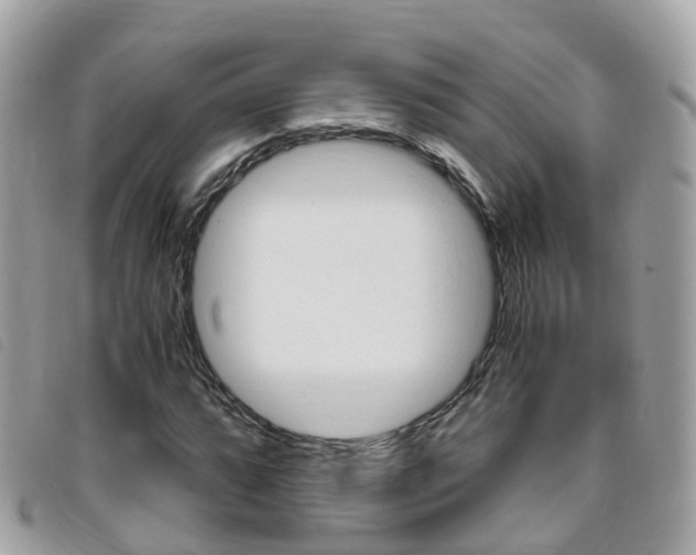 X0000095911064200801110822